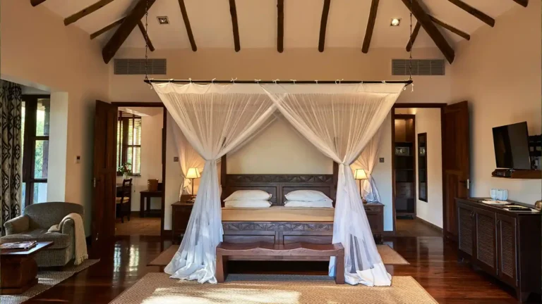 spotlight-luxury-arusha-2