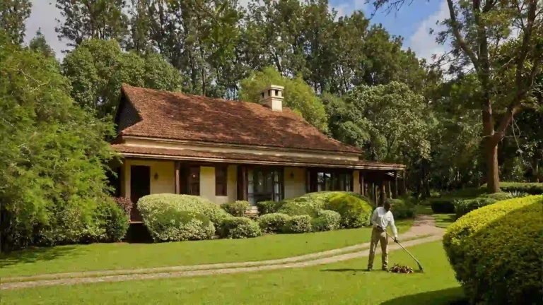 spotlight-luxury-arusha-3