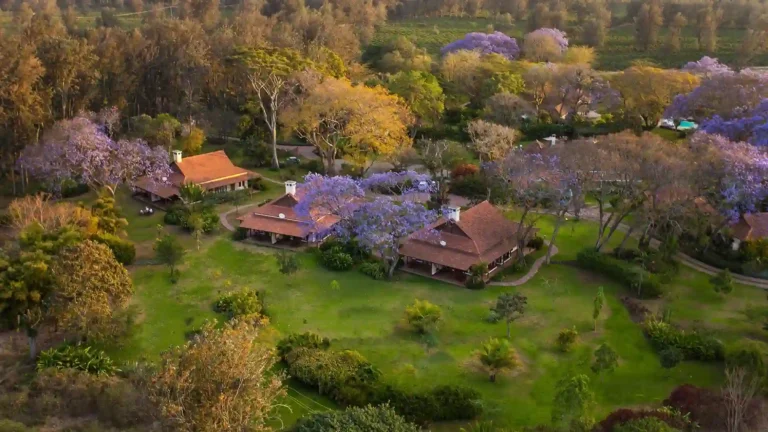 spotlight-luxury-arusha-5