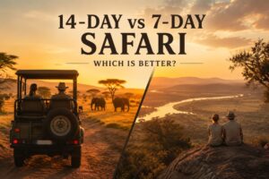 14 Day vs 7 Day Safari | Travel Africa & More