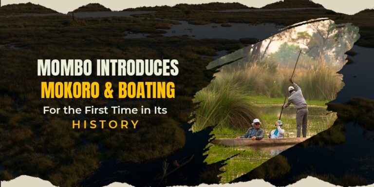 Mombo Introduces Mokoro and Boating