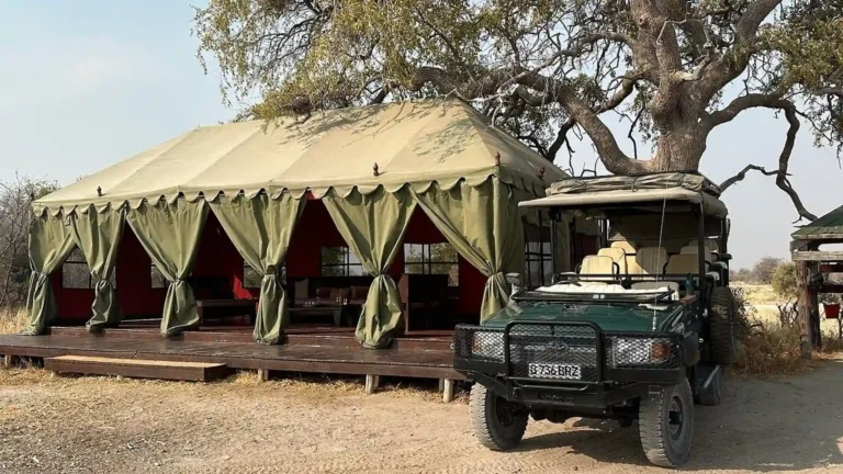 botswan-migration-makgadikgadi-salt-pans-1