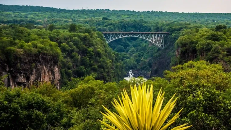 botswan-migration-victoria-falls-4