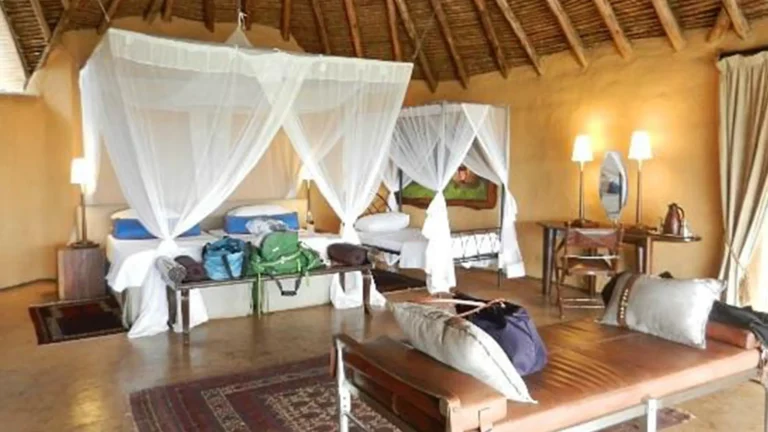 east africa-ls-amboseli-region-4