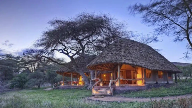 east africa-ls-amboseli-region-9