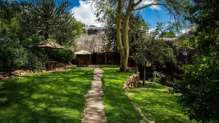 east africa-ls-laikipia-region-12