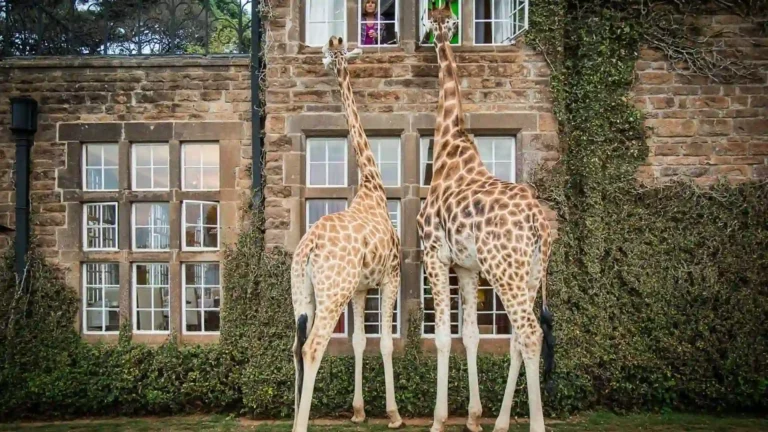 east africa-ls-nairobi-2