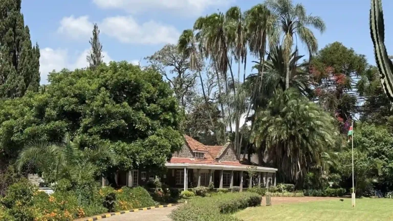 east africa-ls-nairobi-6