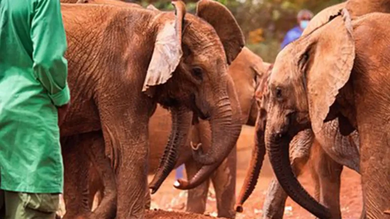 east-africa-nairobi-3