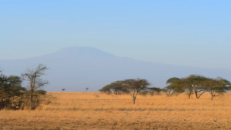east africa-ps-ANP-3
