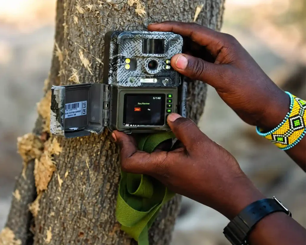 Citizen Science - Camera Traps & Collaring