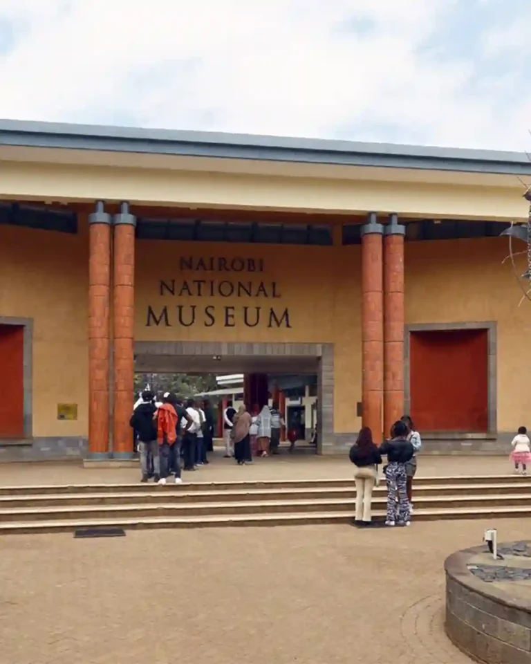 City & Cultural Tours