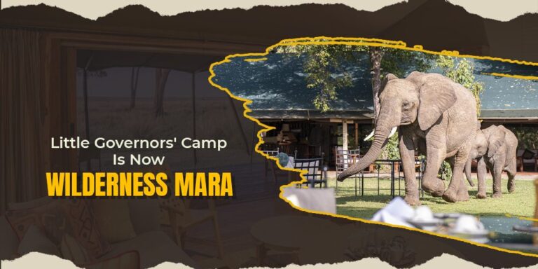 Little Governors’ Camp Is Now Wilderness Mara