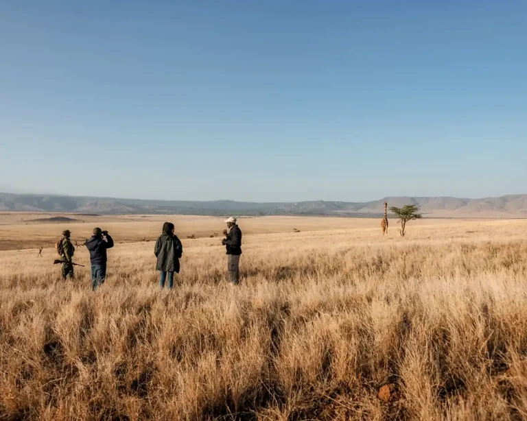 Guided_Bush_Walks