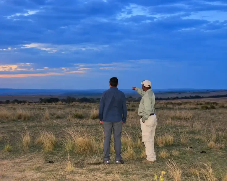 Savanna Twilight Lookout