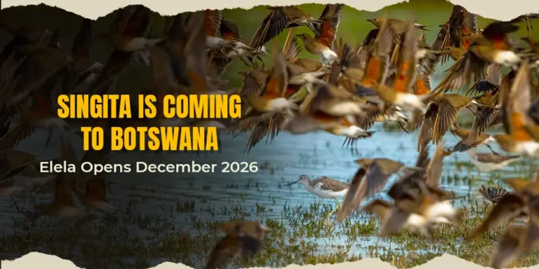 Singita Is Coming to Botswana – Elela Opens December 2026