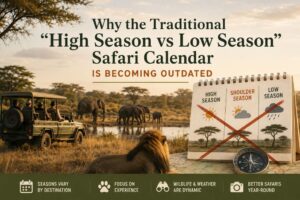 Why the Traditional High Season vs Low Season Safari Calendar Is Becoming Outdated