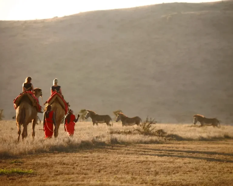 camel-trekking