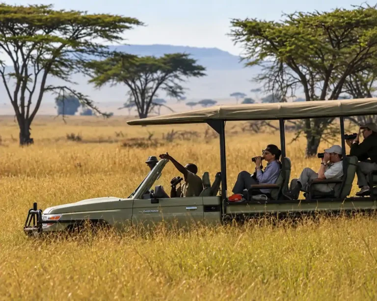 game-drive-duniya-camp