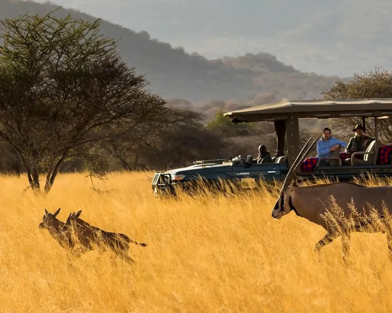 game-drives-enhanced-1500x1200-under-100kb