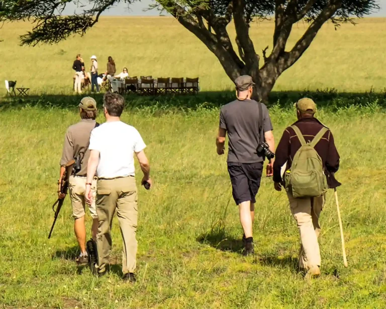guided-bush-walks-enhanced-1500x1200-under-100kb