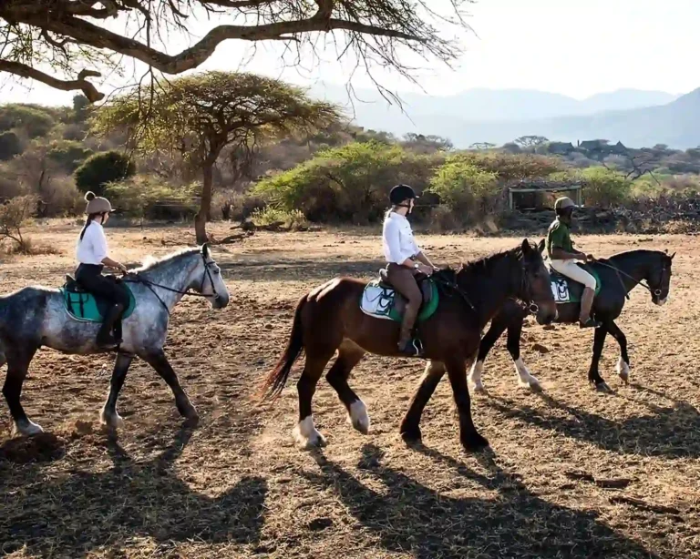 horseback-safaris-enhanced-1500x1200-under-100kb