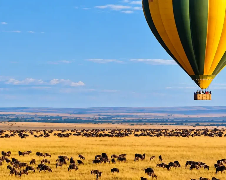 hot-air-balloon-