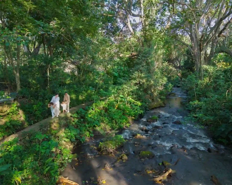 Guided River Walk