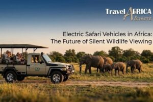 Electric Safari Vehicles in Africa: The Future of Silent Wildlife Viewing