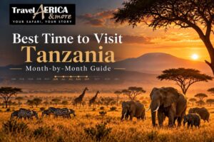 Best Time to Visit Tanzania Month-by-Month Guide