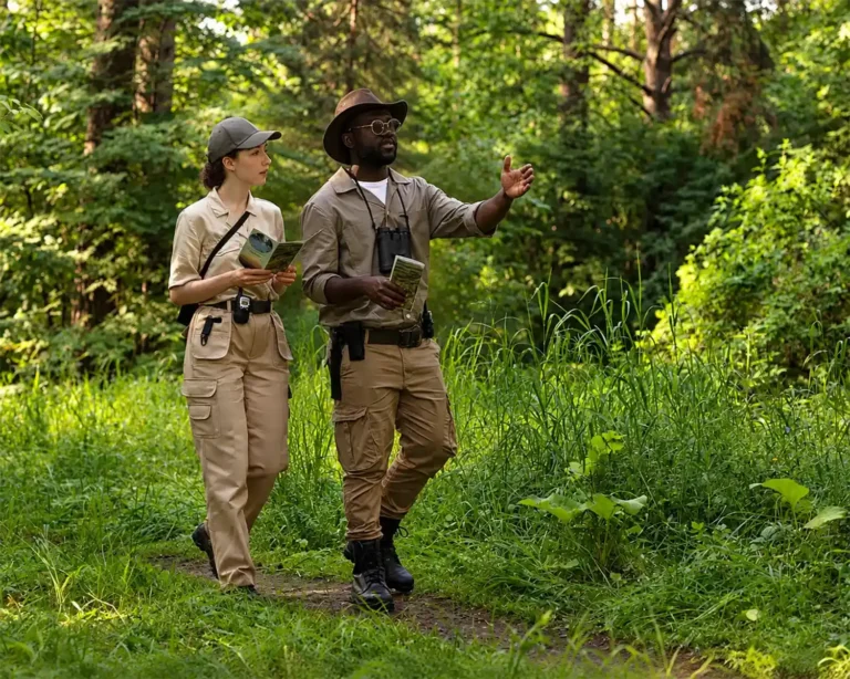 Guided Nature Walk Through Lush Woodland