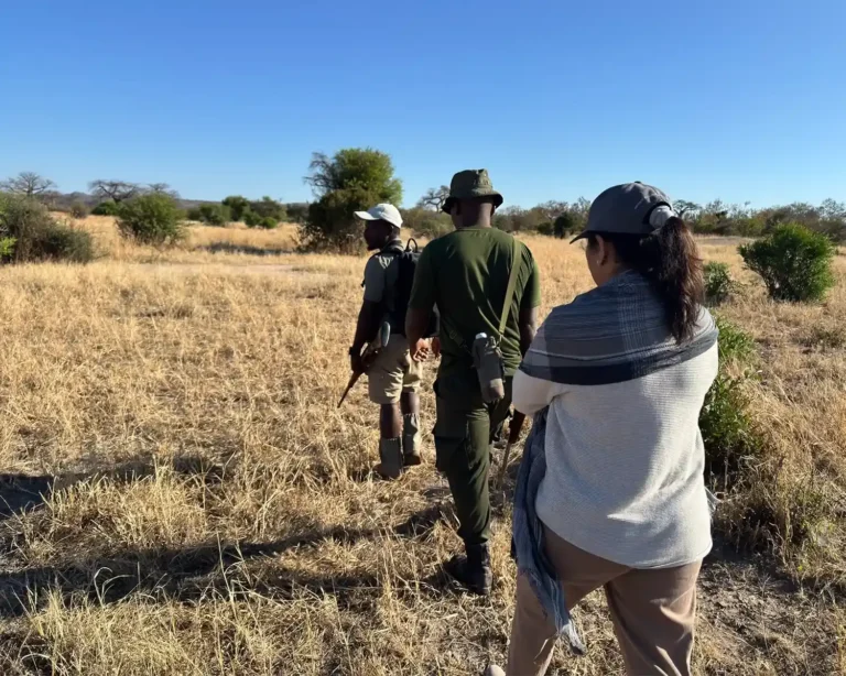 Guided Safari Walk Across Golden Grasslands