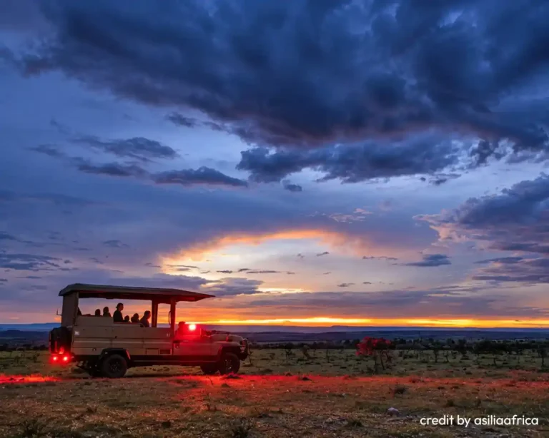 jabali-ridge-night-drive