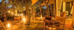 Mara Plains Camp