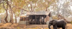 Old Mondoro Camp