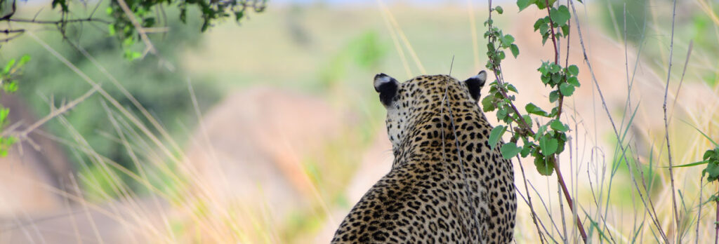 South Africa