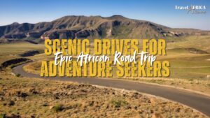 African road trip A scenic drive through diverse landscapes
