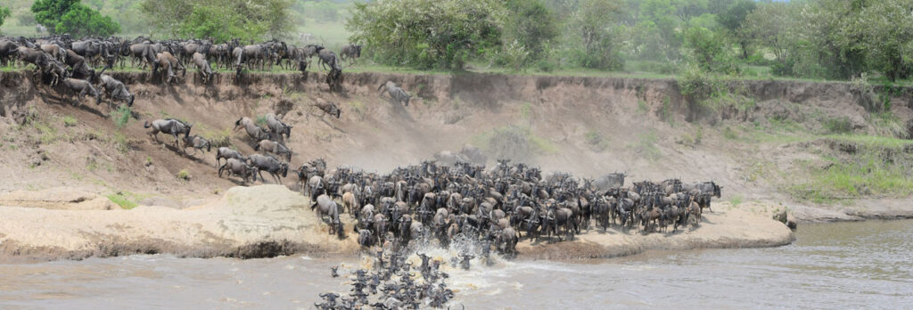Tanzania