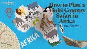 Multi-country safari in Africa with routes planned by an African safari itinerary planner