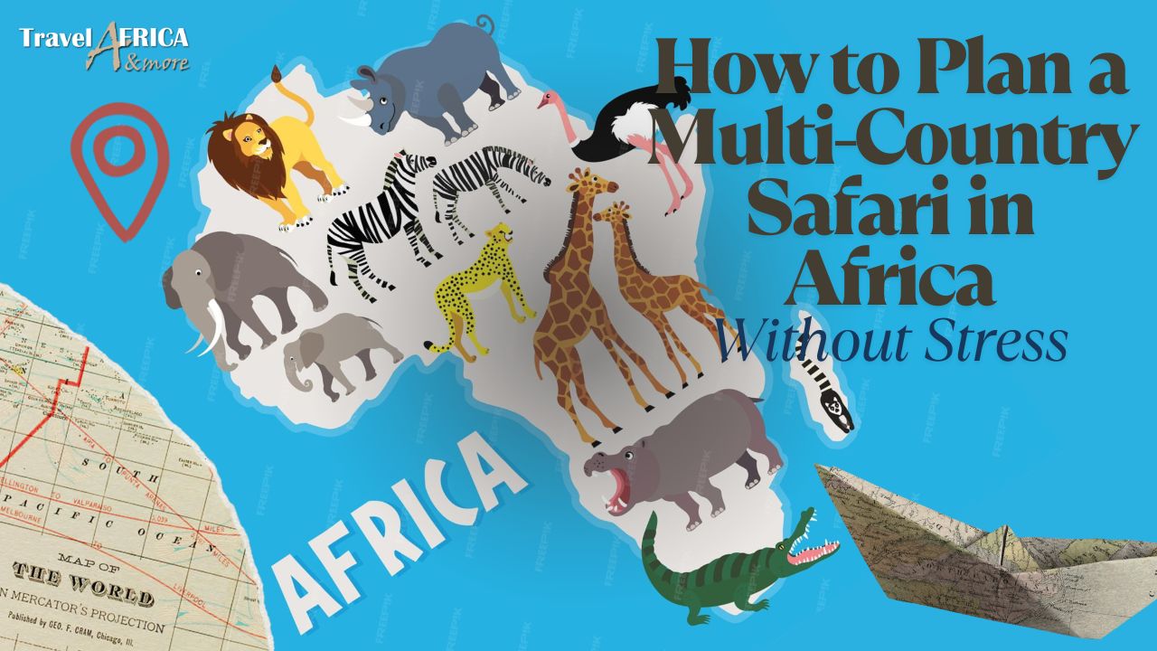Multi-country safari in Africa with routes planned by an African safari itinerary planner