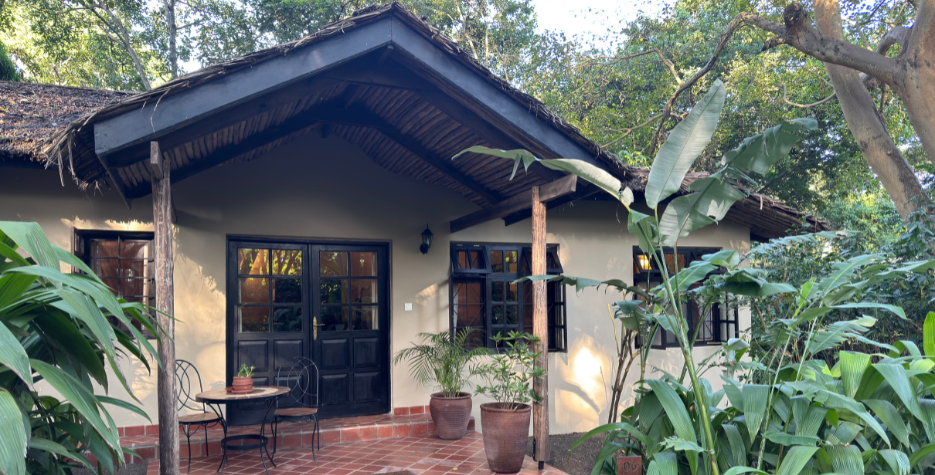 RiverTrees _banner_1