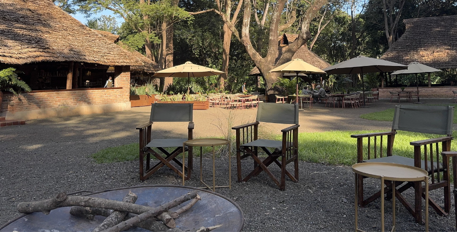 RiverTrees _banner_2