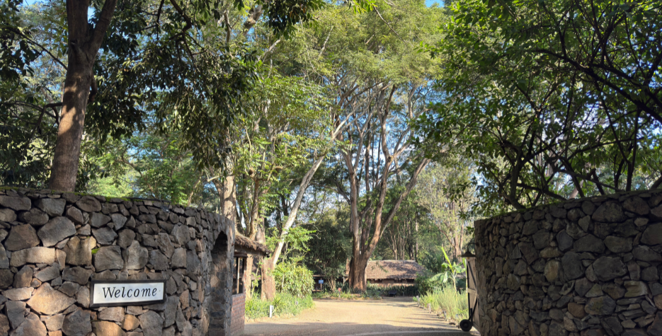 RiverTrees _banner_3