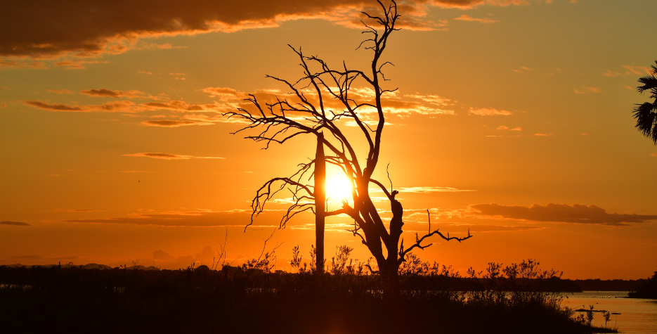 Roho_Ya_Selous_banner_4