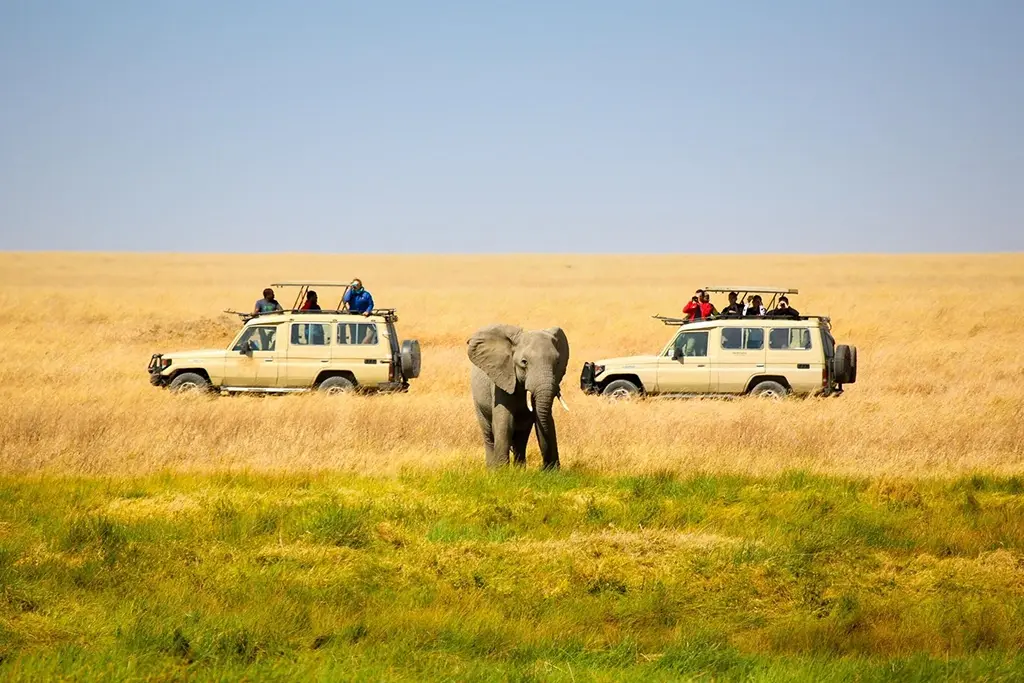 5 Reasons a Tailor Made Safari is Essential for a Multi Generational Family Trip 1 | Travel Africa & More