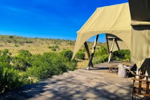 Best Eco Luxury Safari Camps for First Time African Travelers 1 | Travel Africa & More