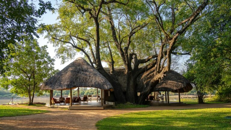 xr:d:DAF7XioHsKw:107,j:3252016252797378850,t:24020113