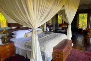 Mobile Camping vs. Luxury Lodges Experience the Real Botswana 1 | Travel Africa & More