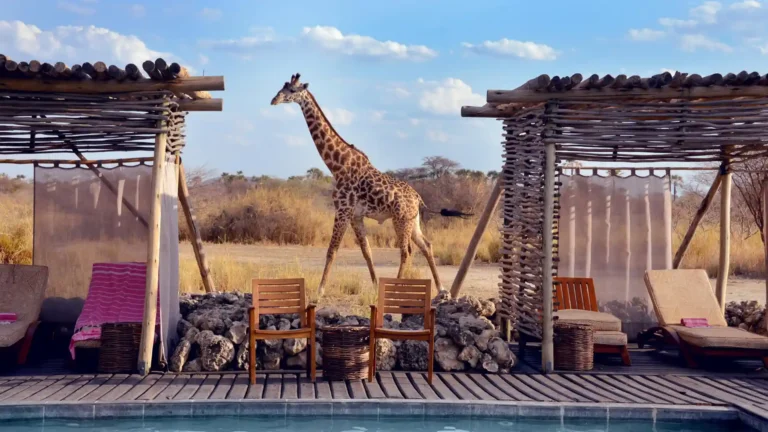 Tanzania-Safari-Adventure-day-2to4-2