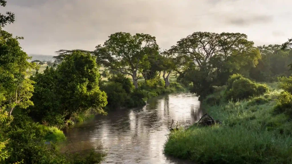 lodge’s calm setting, riverside views, and relaxed luxury 1